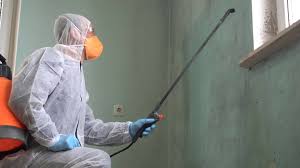 Environmental Consulting for Mold Prevention in Bend, OR