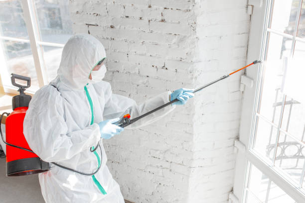 Best Commercial Mold Inspection  in Bend, OR